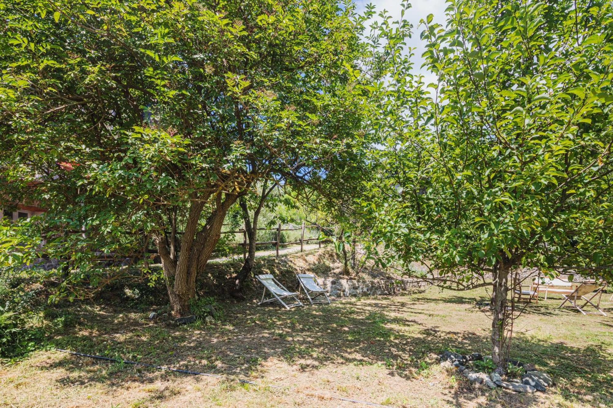 Agriturismo Di Charme E Ristorante Stallato Il Filo Di Paglia Carro Exterior foto